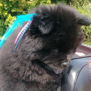 Meet your Posher, Lori